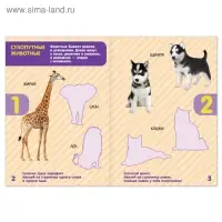 Книга с наклейками «Счёт», 12 стр. Книга с наклейками «Счёт», 12 стр.