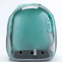 Рюкзак для переноски животных прозрачный, 31 х 28 х 42 см, бирюзовый Рюкзак для переноски животных прозрачный, 31 х 28 х 42 см, бирюзовый