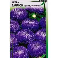 Семена цветов Астра Баллюн тёмно-синяя 30 шт