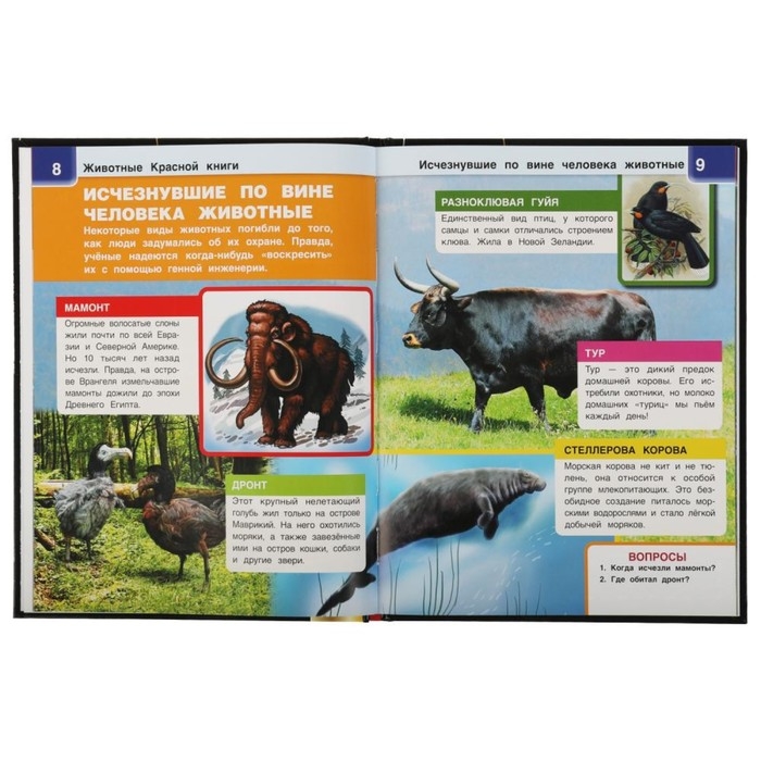 Энциклопедия А4 с дополненной реальностью «Животные красной книги 4D» Энциклопедия А4 с дополненной реальностью «Животные красной книги 4D»