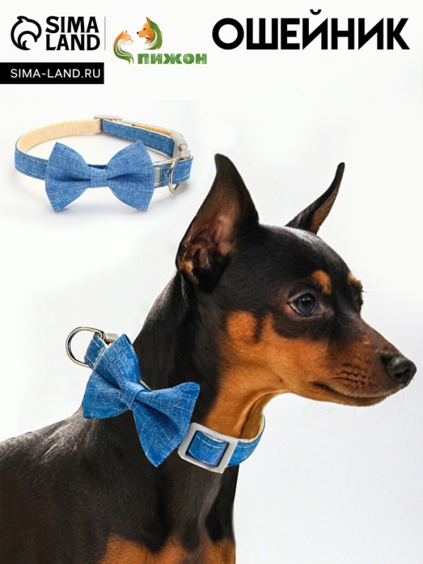 Ошейник Ошейник "Джентельмен жакардовый", 40 х 1,5 см, синий