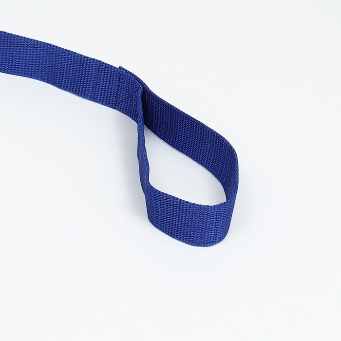 Поводок 1,2 м х 3 см, синий Поводок 1,2 м х 3 см, синий