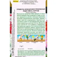 Семена цветов Примула Моя прекрасная леди, смесь сортов Мн С. Farao Золотая серия, Ц/П,7 шт. 1094587 Семена цветов Примула Моя прекрасная леди, смесь сортов Мн С. Farao Золотая серия, Ц/П,7 шт. 1094587