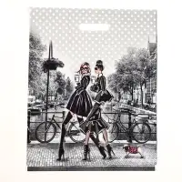 Пакет &laquo;Подружки&raquo;, полиэтиленовый с вырубной ручкой, 38&times;47 см, 60 мкм