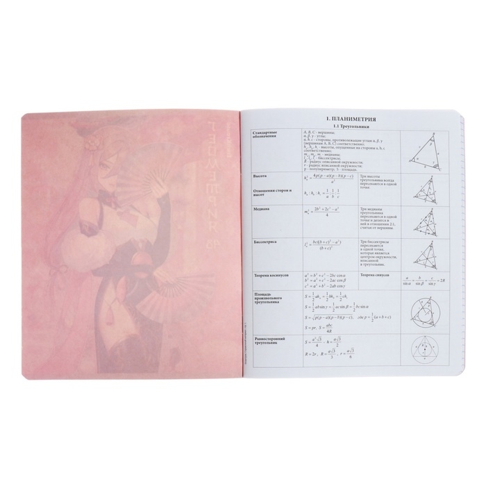 Тетрадь предметная ГЕОМЕТРИЯ, 48 листов в клетку, ErichKrause Manga, обложка мелованный картон, твин-лак, блок офсет 100% белизна, инфо-блок