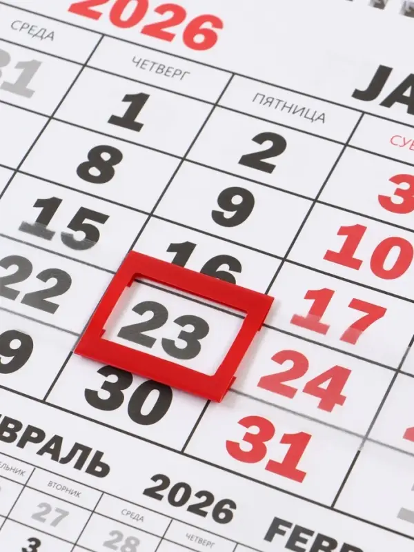 Календарь настенный квартальный 2026 &laquo;Лошадь с котенком&raquo;, 30&times;46 см