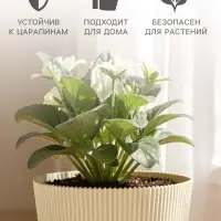 Горшок для цветов с поддоном, пластиковый, 700 мл, d=11.5, h=11.5 см, бежевый