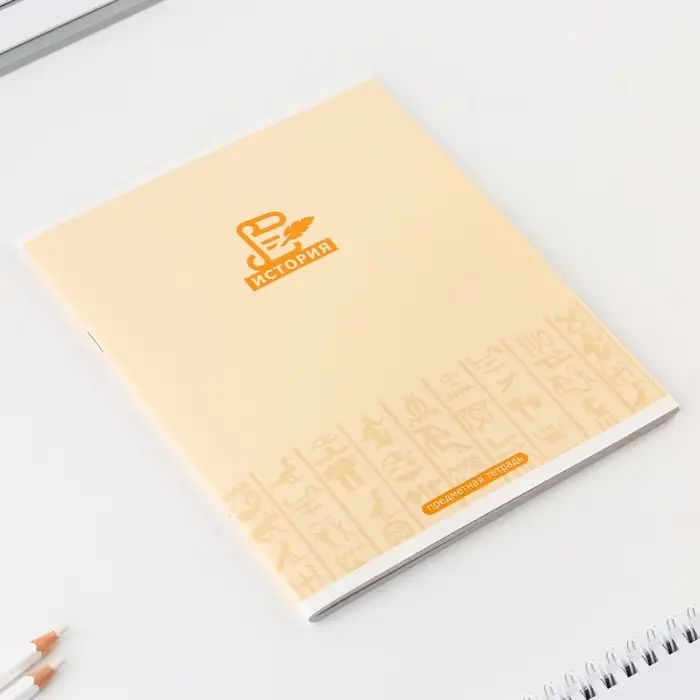 Тетрадь в клетку, предметная, 48 л.,на скрепке, А5 &laquo;МИНИМАЛИЗМ. История&raquo;