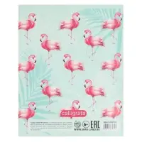 Тетрадь 96 листов в клетку, Calligrata &laquo;Фламинго&raquo;, МИКС