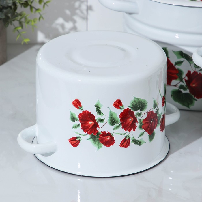 Набор эмалированных кастрюль «Рамо», 3 предмета: 3,5 л, 5,5 л, 8 л Набор эмалированных кастрюль «Рамо», 3 предмета: 3,5 л, 5,5 л, 8 л