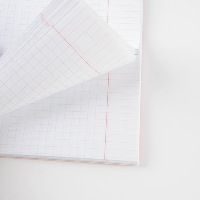 Тетрадь предметная 48 листов, А5, РОЗОВАЯ СЕРИЯ, со справ. мат. &laquo;1 сентября: География&raquo;, обложка мелованный картон 230 гр внутренний блок в клетку  белизна 96%