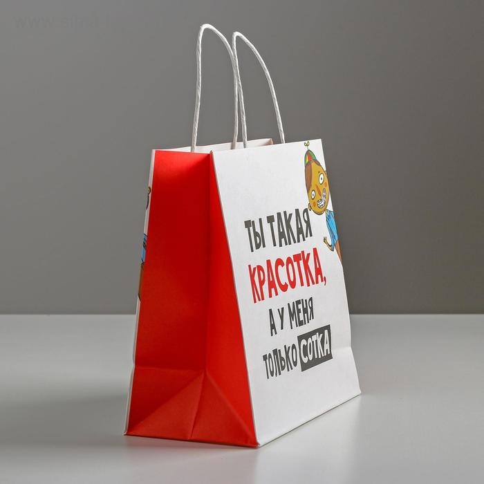 Пакет подарочный, упаковка, «Красотка», 22 х 22 х 11 см Пакет подарочный, упаковка, «Красотка», 22 х 22 х 11 см