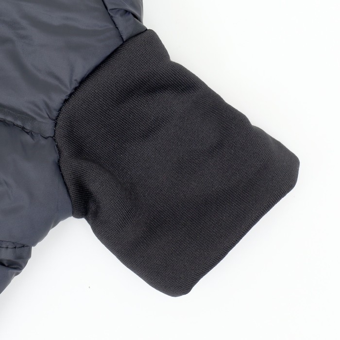 Куртка для собак  Куртка для собак "Спорт" с капюшоном, размер S, чёрная