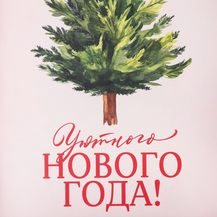Коробка подарочная с PVC крышкой «Уютного нового года!», ёлочка, 20 х 30 х 8 см, Новый год Коробка подарочная с PVC крышкой «Уютного нового года!», ёлочка, 20 х 30 х 8 см, Новый год