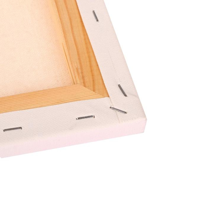 Холст на подрамнике, хлопок 100%, 50 х 60 х 1.8 см, акриловый грунт, мелкозернистый «Студия» Холст на подрамнике, хлопок 100%, 50 х 60 х 1.8 см, акриловый грунт, мелкозернистый «Студия»