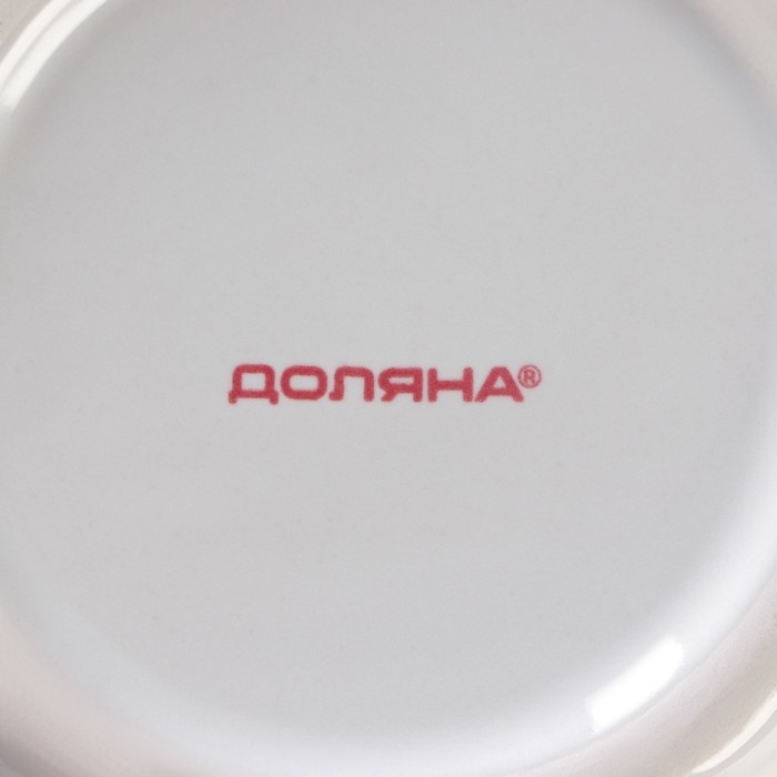 Банка для хранения сыпучих продуктов Доляна &laquo;Кактус&raquo;, 160 мл, 8&times;8&times;14 см, керамическая