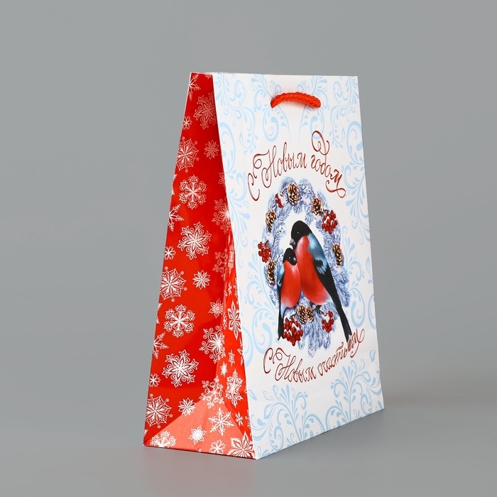 Пакет подарочный новогодний ламинированный «С Новым годом», снегири, MS 18 х 23 х 8 см, Новый год Пакет подарочный новогодний ламинированный «С Новым годом», снегири, MS 18 х 23 х 8 см, Новый год