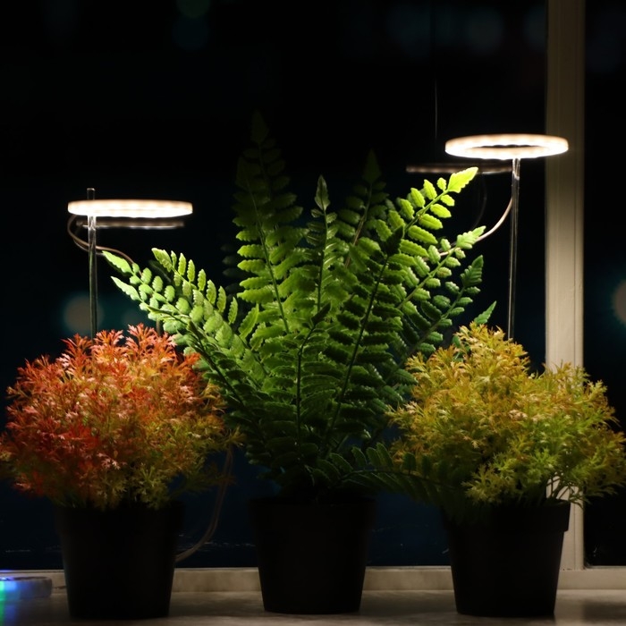 Фитосветильник светодиодный, 4 Вт, 5 В, в горшок, USB, полноспектральный, 2 круга Фитосветильник светодиодный, 4 Вт, 5 В, в горшок, USB, полноспектральный, 2 круга