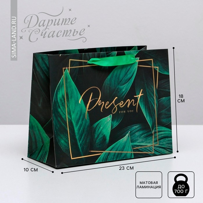 Пакет подарочный ламинированный горизонтальный, упаковка, Present for you, MS 23 х 18 х 10 см