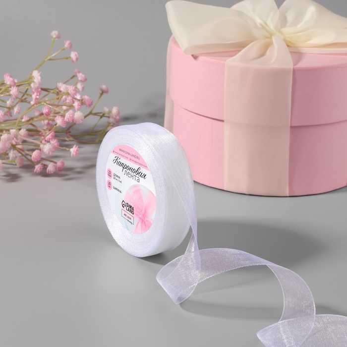 Лента капроновая, 20 мм, 20 ± 1 м, цвет белый №1 Лента капроновая, 20 мм, 20 ± 1 м, цвет белый №1