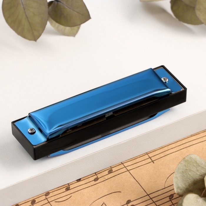 Губная гармошка Music Life T003 C диатоническая, 10 отверстий, с футляром, синяя Губная гармошка Music Life T003 C диатоническая, 10 отверстий, с футляром, синяя