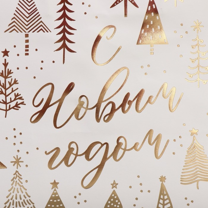 Пакет подарочный новогодний крафтовый «Новогодняя пора», 22 х 25 х 12 см, Новый год Пакет подарочный новогодний крафтовый «Новогодняя пора», 22 х 25 х 12 см, Новый год