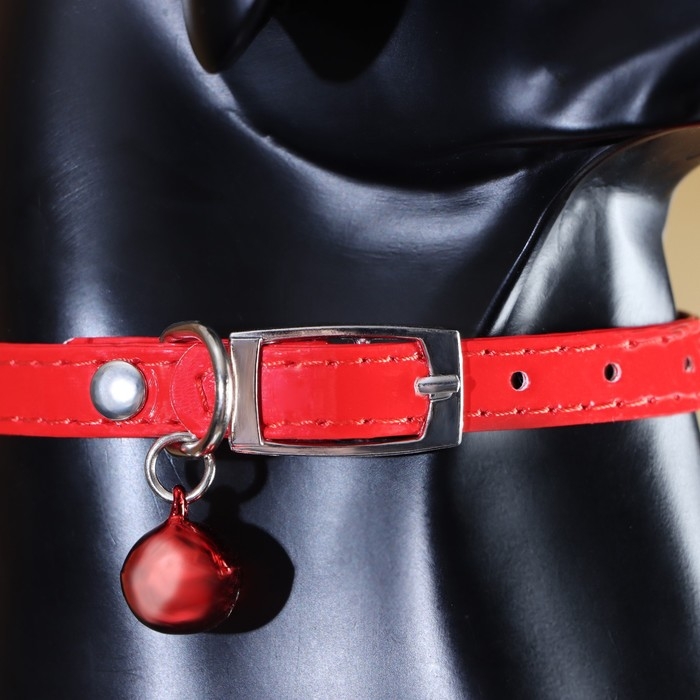 Ошейник Ошейник "Сияние" с бусиной и бубенчиком, 29 х 1 см, ОШ 21-26, красный