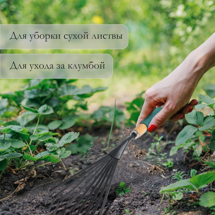 Грабли малые, веерные, пластинчатые, 9 зубцов, длина 42 см, металл, деревянная ручка с поролоном, Greengo Грабли малые, веерные, пластинчатые, 9 зубцов, длина 42 см, металл, деревянная ручка с поролоном, Greengo