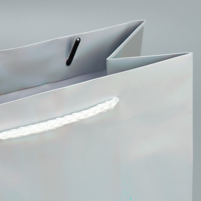 Пакет голографический «Сказочный лес», 18 х 23 х 10 см, Новый год Пакет голографический «Сказочный лес», 18 х 23 х 10 см, Новый год