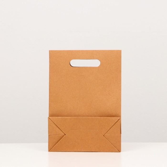 Коробка-пакет, крафтовая, с окном, 26 х 19 х 9 см Коробка-пакет, крафтовая, с окном, 26 х 19 х 9 см