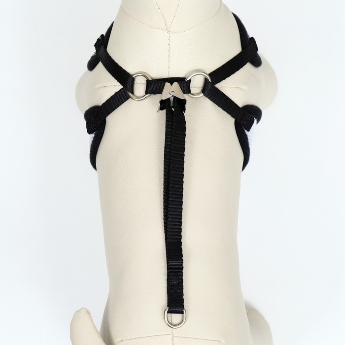 Комплект с мягкой шлейкой и бантиком , размер S, поводок 120 x 1,5 см, ОГ 23-42 см, серый Комплект с мягкой шлейкой и бантиком , размер S, поводок 120 x 1,5 см, ОГ 23-42 см, серый