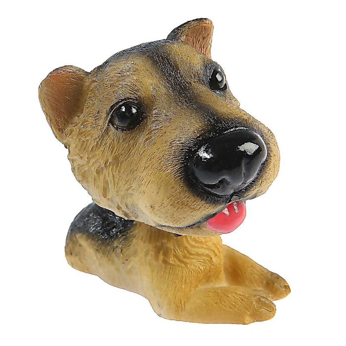 Собака на панель авто, качающая головой, ирландский терьер Собака на панель авто, качающая головой, ирландский терьер