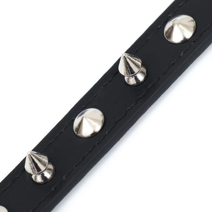 Ошейник  Ошейник "Лион" с шипами 45 х 2 см, ОШ 34-40 см, искусственная кожа, чёрный
