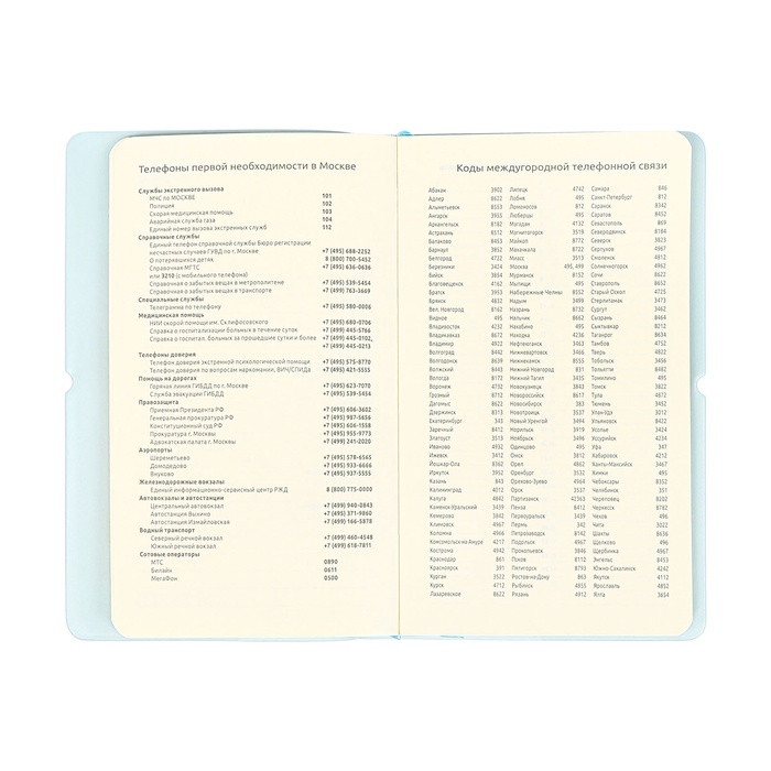 Планинг карманный недатированный, 80 листов, 100х170 мм, deVENTE.Jane, мягкая обложка ПВХ, на резинке, перфорация, ляссе, блок 70%, голубой