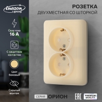 Розетка двухместная со шторкой Luazon Lighting "Орион", 16 А, скрытая, с з/к, бежевая