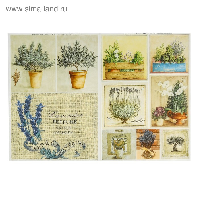 Набор декупажных карт 6 шт «Травы Прованса» Набор декупажных карт 6 шт «Травы Прованса»