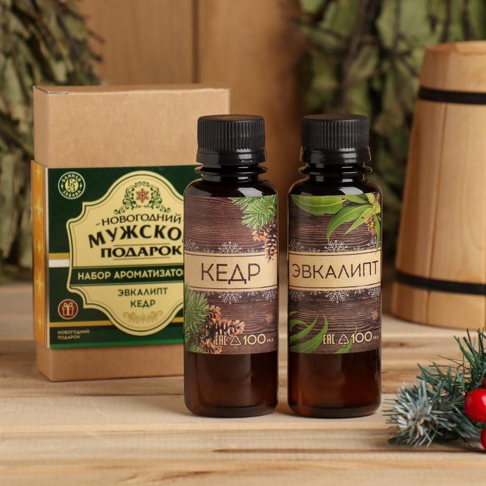Набор ароматизаторов 2 шт по 100 мл Набор ароматизаторов 2 шт по 100 мл "Мужской подарок", кедр, эвкалипт
