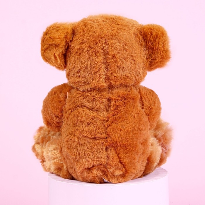 Мягкая игрушка «Любимая мамочка», 25 см, МИКС