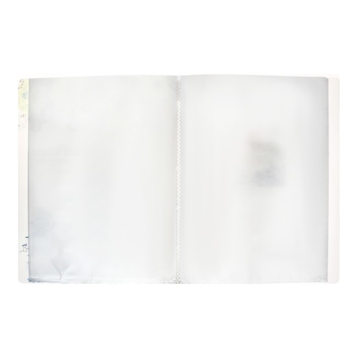 Папка формат А4, с 60 прозрачными файлами Папка формат А4, с 60 прозрачными файлами "Город", МИКС