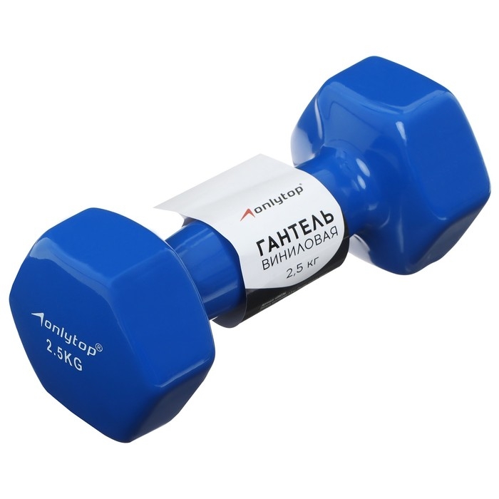Гантель виниловая ONLYTOP, 2,5 кг, цвет синий Гантель виниловая ONLYTOP, 2,5 кг, цвет синий