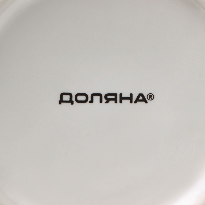 Кружка фарфоровая Доляна «День кота», 380 мл, цвет белый Кружка фарфоровая Доляна «День кота», 380 мл, цвет белый