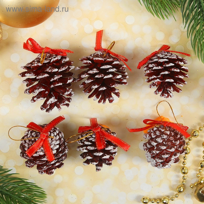 Набор природного декора Набор природного декора "Заснеженые шишки", с бантиком, набор 6 шт.