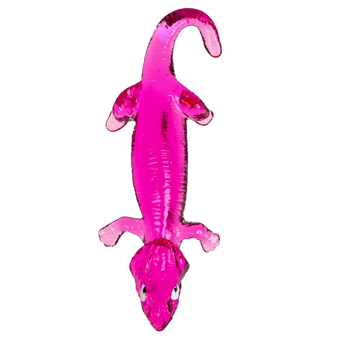 Липучка «Ящерки», цвета МИКС, на блистере Липучка «Ящерки», цвета МИКС, на блистере