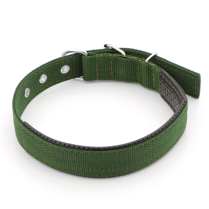 Ошейник Ошейник "Комфорт" комбинированный, 58 х 3 см, ОШ 45-52 см, тёмно-зелёный