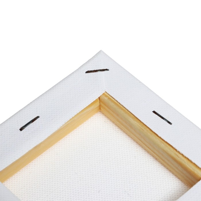 Холст на подрамнике хлопок 100% акрил грунт 1,0*10*10 см, с/з 380 г/м2 Холст на подрамнике хлопок 100% акрил грунт 1,0*10*10 см, с/з 380 г/м2