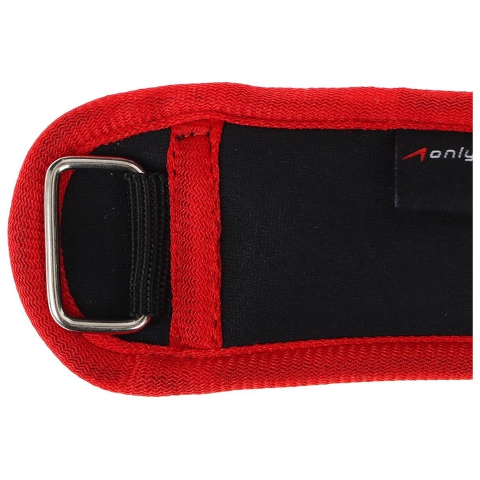 Утяжелители на запястье ONLYTOP, 2 шт. х 100 г, цвет красный Утяжелители на запястье ONLYTOP, 2 шт. х 100 г, цвет красный