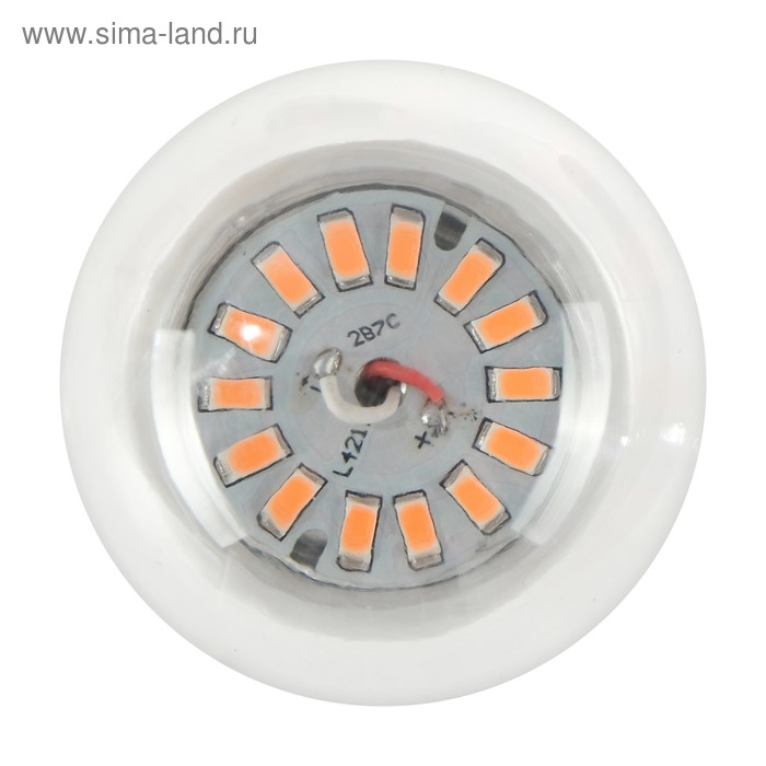 Фитолампа светодиодная Luazon Lighting, А60, E27, 9Вт, IP44, 220В, 270°, мультиспектральная Фитолампа светодиодная Luazon Lighting, А60, E27, 9Вт, IP44, 220В, 270°, мультиспектральная