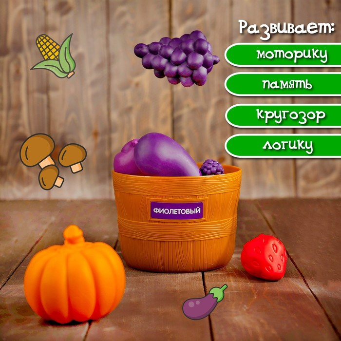 Набор для сортировки «Разноцветный урожай», по методике Монтессори Набор для сортировки «Разноцветный урожай», по методике Монтессори