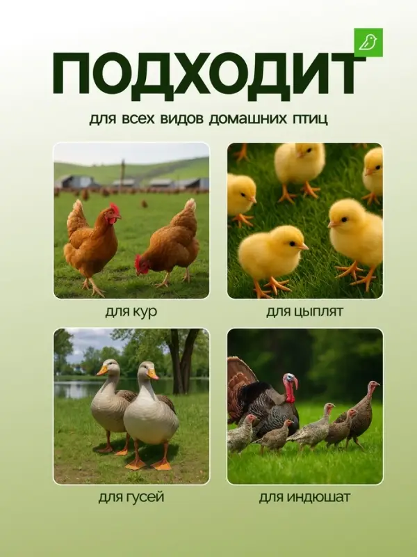 Кормушка бункерная для домашней птицы на 12 кг, пластик