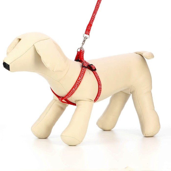 Комплект прошитый Комплект прошитый "Жираф", ширина 1 см, поводок 120 см, шлейка 23-35 см, красный